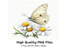 Elegant White Butterfly Daisy Clipart Bundle