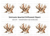 Driftwood Clipart Bundle