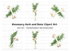 Rosemary and Bone Clipart Bundle