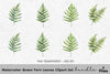 Green Fern Leaves Clipart Bundle