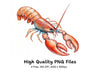 Realistic Lobster Clipart Bundle