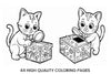 Festive Christmas Bird Coloring Books