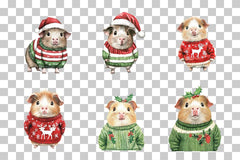 Cute Christmas Guinea Pig Clipart Bundle - CraftNest - Digital Crafting and Art
