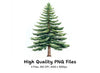 Realistic Pine Tree Clipart Bundle