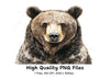 Realistic Brown Bear Head Clipart Bundle