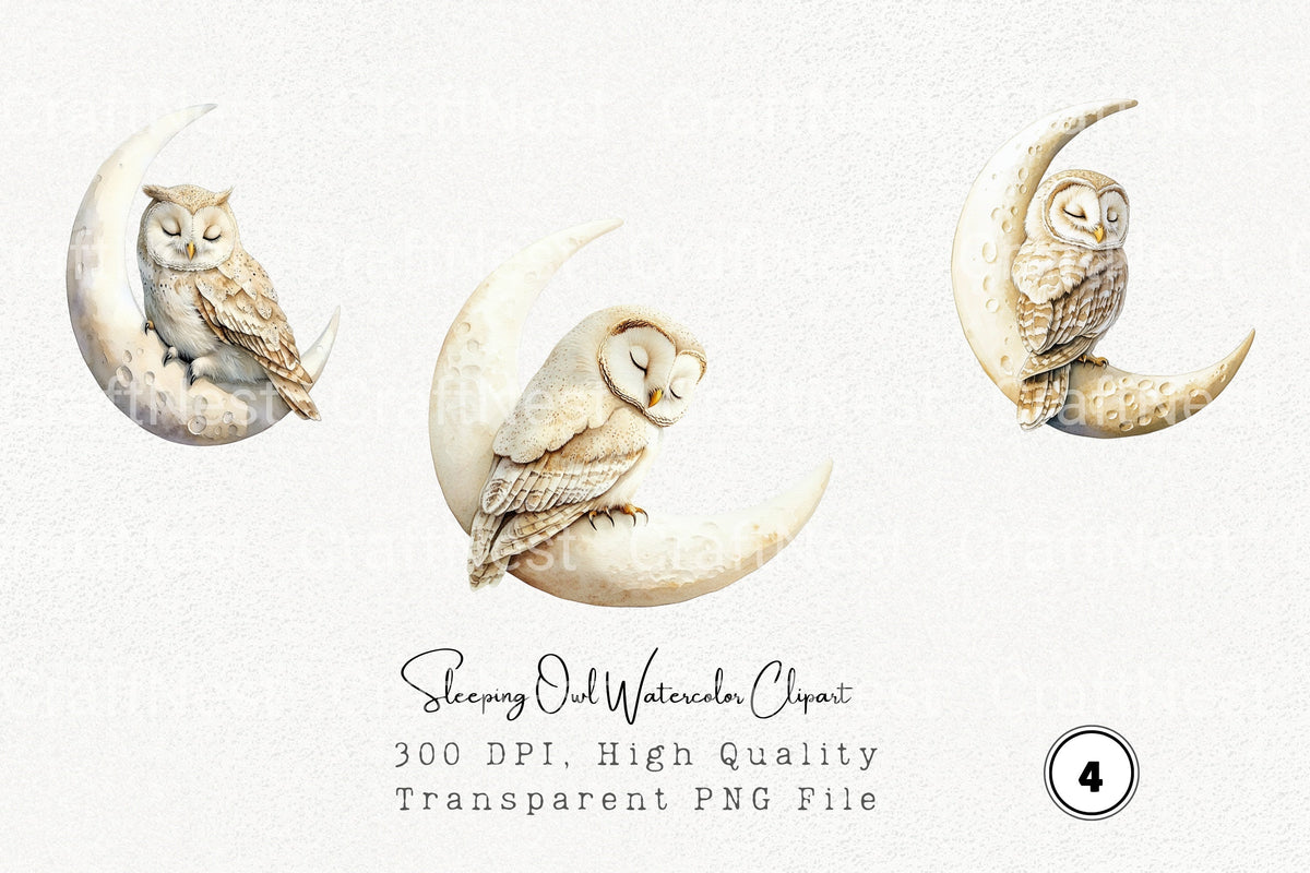 Sleeping Owl Clipart Bundle