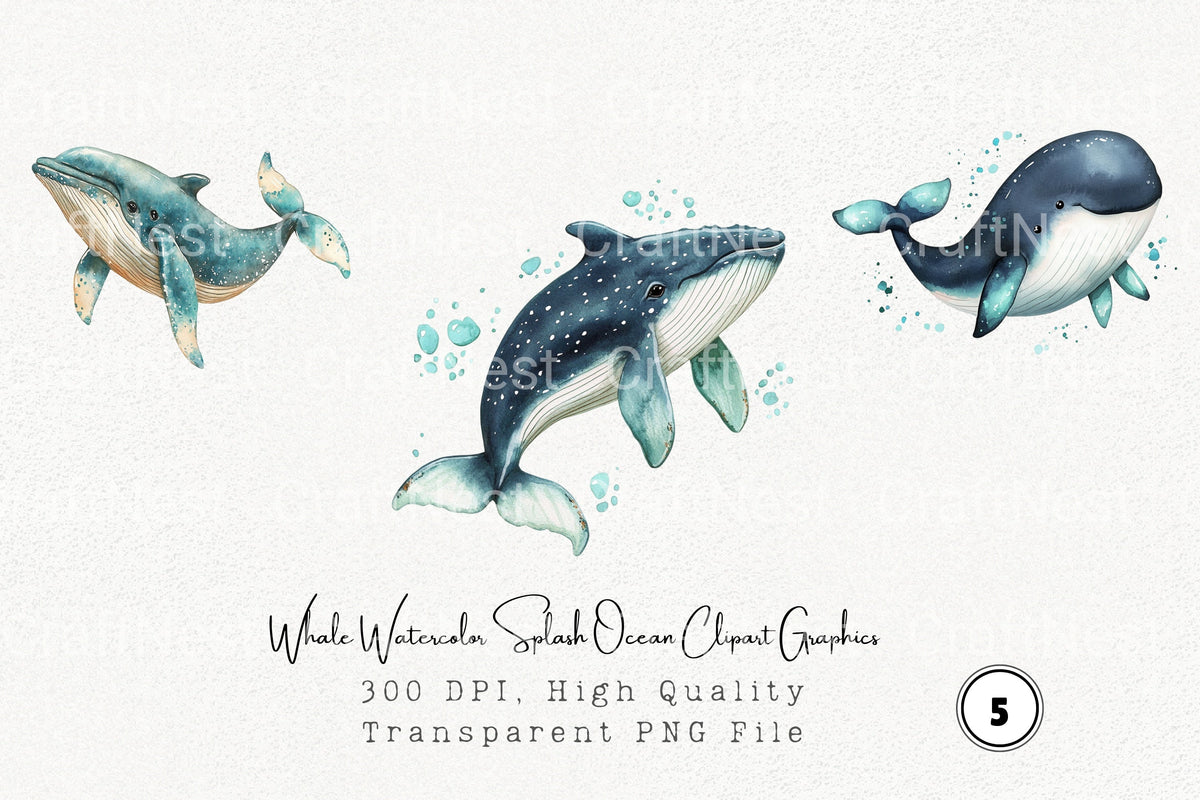Whale Splash Ocean Graphics Clipart Bundle