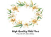 Colorful Lily Wreath Clipart Bundle