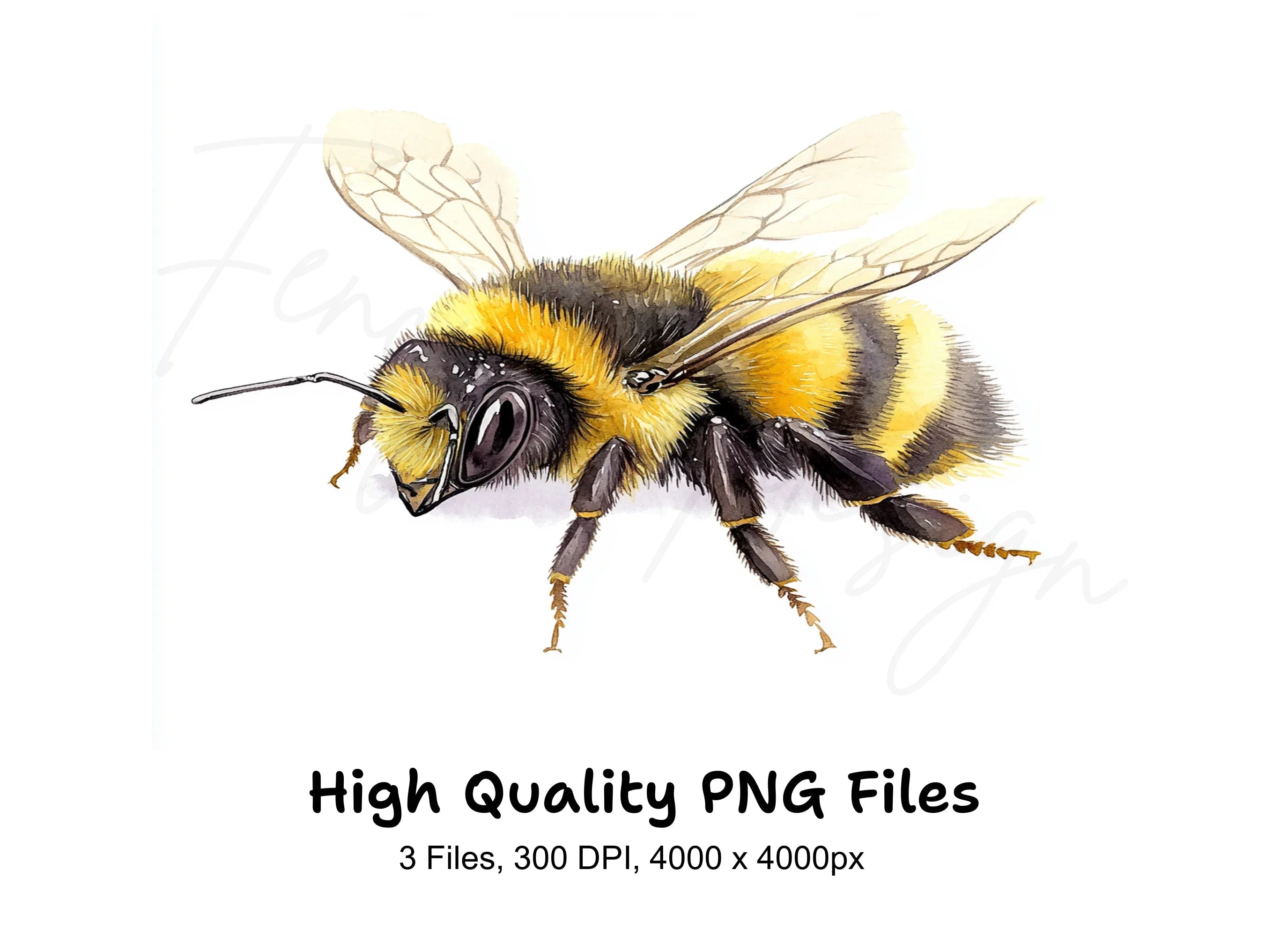 Bumblebee Clipart Bundle