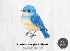 Bluebird Songbird Clipart Bundle - CraftNest - Digital Crafting and Art