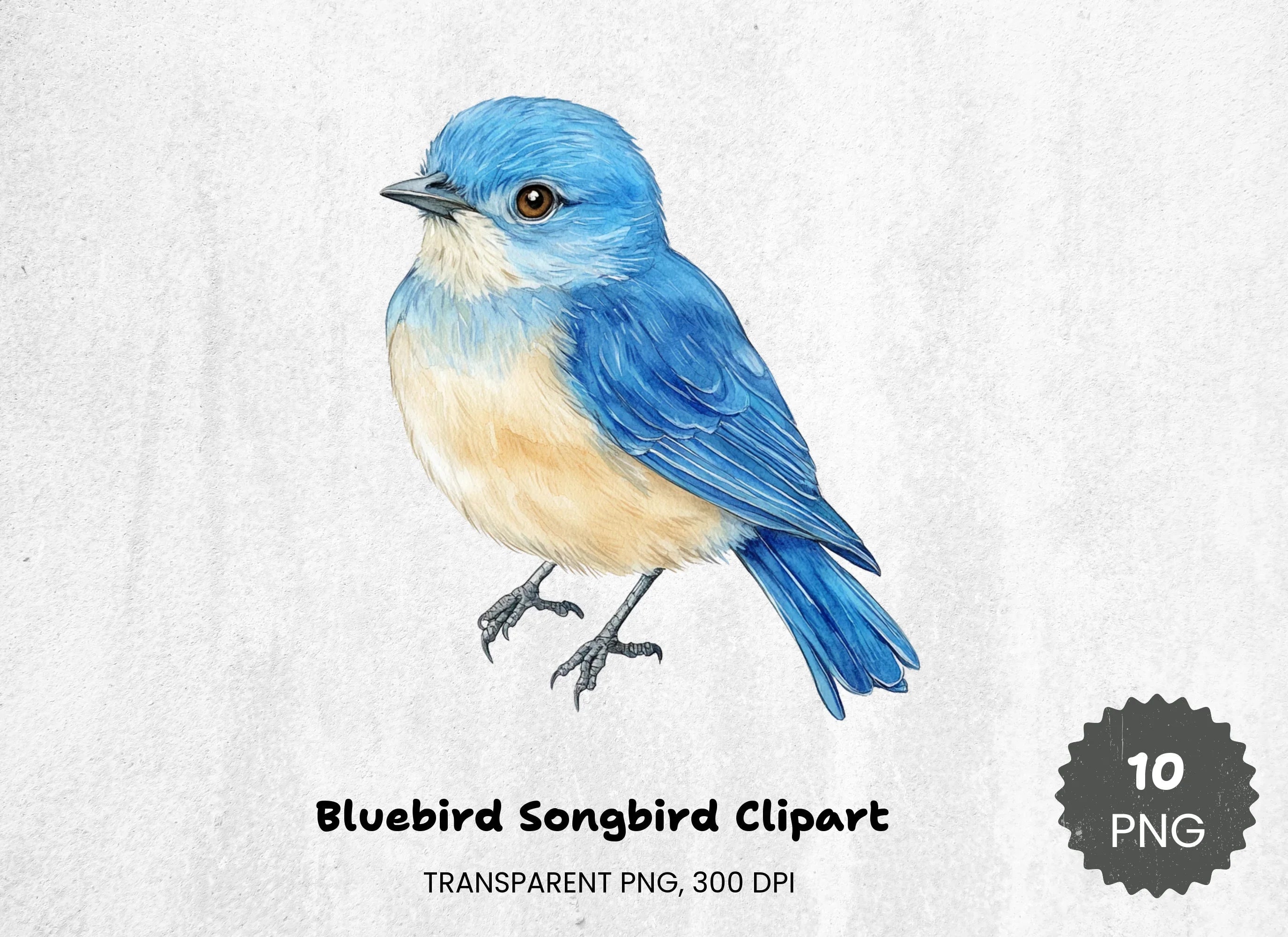 Bluebird Songbird Clipart Bundle - CraftNest - Digital Crafting and Art