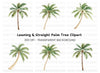 Leaning Palm Trees Clipart Bundle