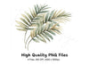Tropical Leaves Clipart Bundle