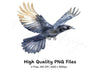 Flying Crows Clipart Bundle