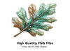 Oak Leaves with Dew Drops Clipart Bundle