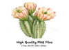 Blooming Cactus Illustrations Clipart Bundle