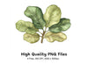 Fiddle Leaf Fig Clipart Bundle