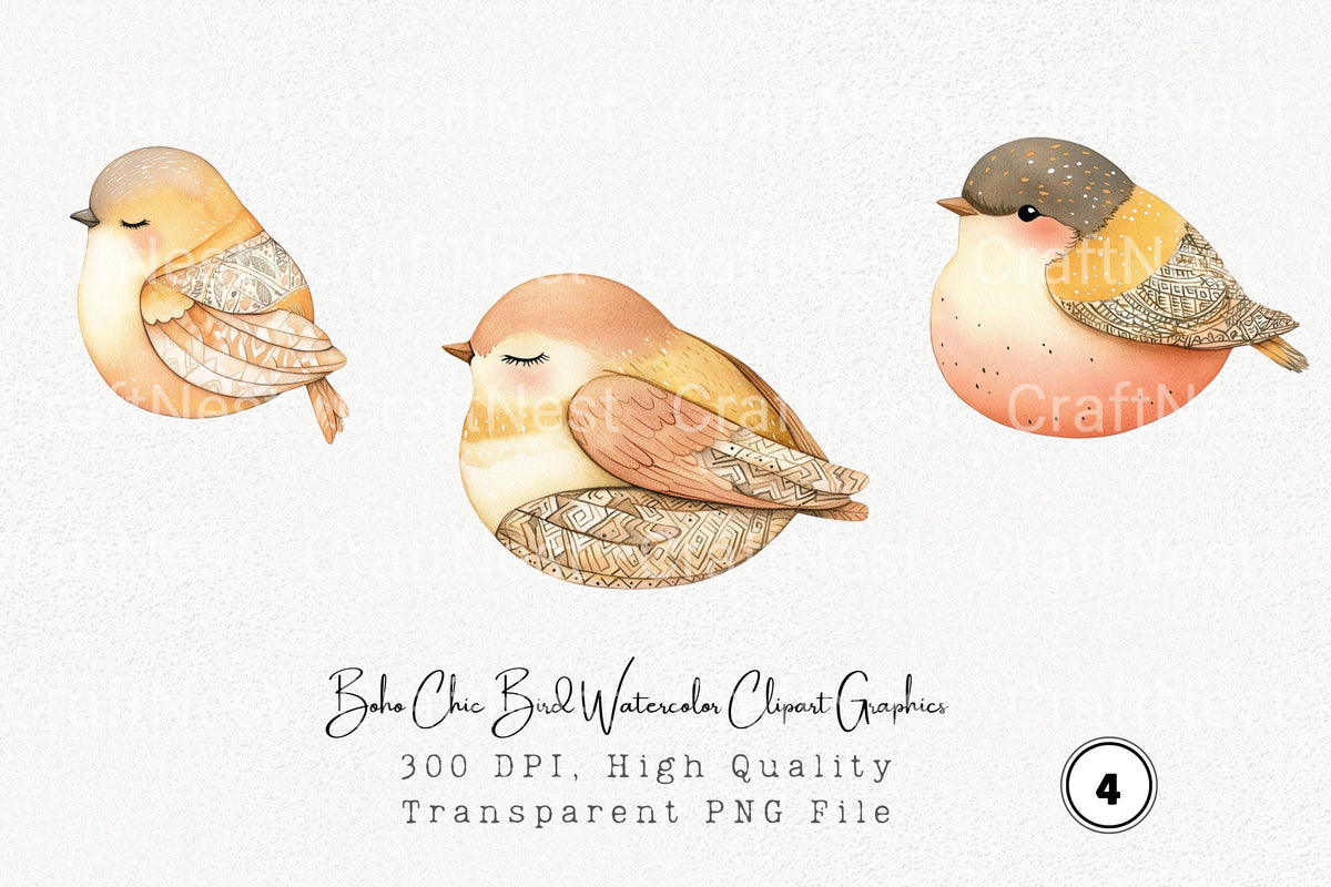 Boho Chic Bird Graphics Clipart Bundle