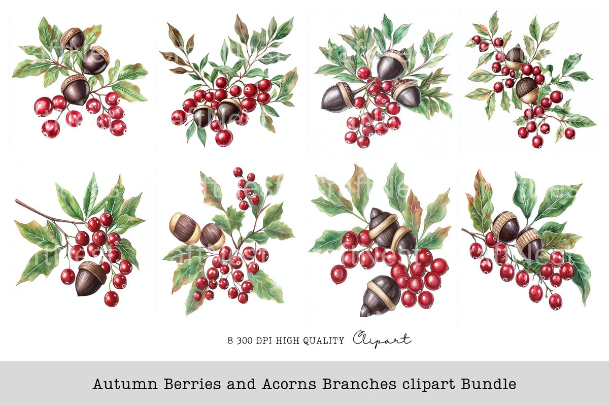 Autumn Berries And Acorns Branches Clipart Bundle