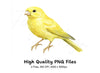 Bright Yellow Canary Bird Clipart Bundle