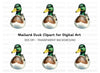 Front View Mallard Duck Clipart Bundle