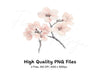 Delicate Cherry Blossom Clipart Bundle