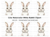 Cute White Bunny Clipart Bundle