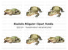 Alligator and Crocodile Clipart Bundle