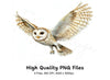 Barn Owl Flying Clipart Bundle