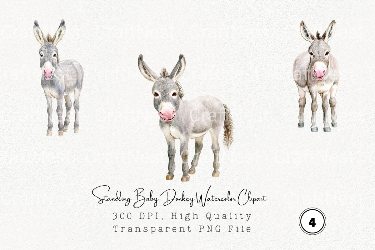 Standing Baby Donkey Clipart Bundle