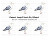 Elegant Seagull Bird Clipart Bundle