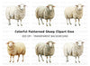 Three Fluffy Sheep Clipart Bundle