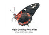 Elegant Red and Black Butterfly Clipart Bundle