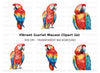 Vibrant Macaw Parrot Clipart Bundle
