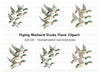 Flying Mallard Ducks Clipart Bundle