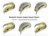 Realistic Snake Head Clipart Bundle