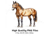 Elegant Horse Breeds Clipart Bundle
