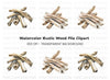 Driftwood Clipart Bundle