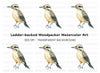 Cute Spotted Woodpecker Clipart Bundle
