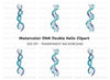 DNA Strand Clipart Bundle