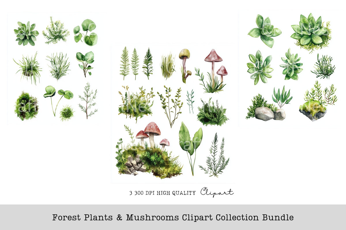 Forest Plants Mushrooms Clipart Bundle