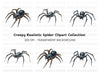 Realistic Spider Clipart Bundle