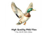 Flying Mallard Ducks Clipart Bundle