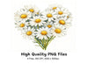 Daisy Flower Bouquets Clipart Bundle