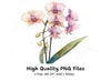 Orchid Clipart Bundle