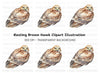 Fierce Hawk Illustration Clipart Bundle
