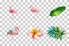 Flamingo Clipart Bundle - Etb197 - CraftNest - Digital Crafting and Art