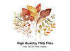 Autumn Leaves Clipart Bundle