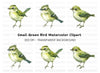 Little Green Bird Clipart Bundle
