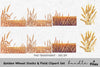Golden Wheat Stalks Field Clipart Bundle